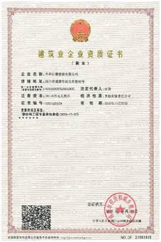 成员资质(图9)